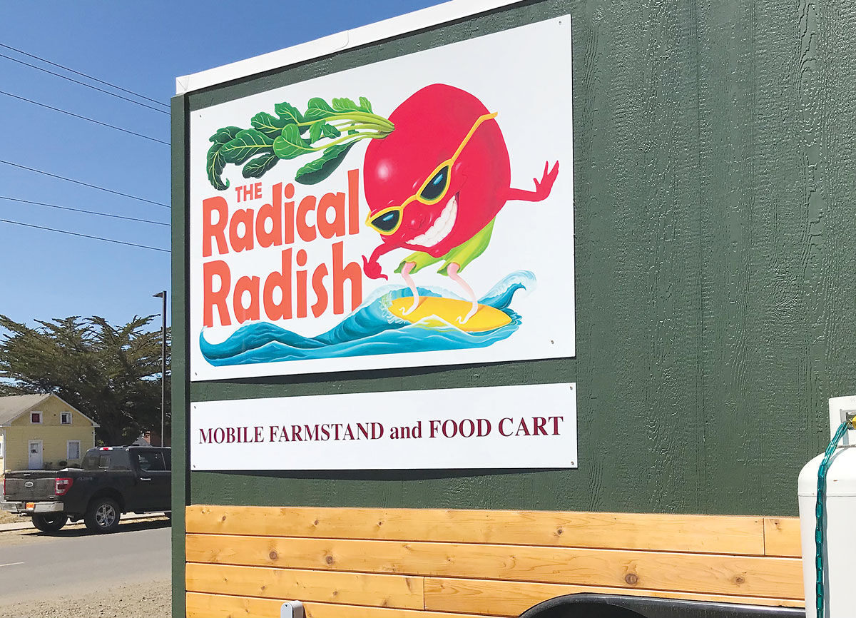 Business-Radical-radish3